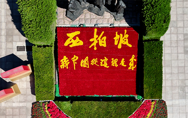 朱德的毛毯：一堂西柏坡红色教育的“实物课”